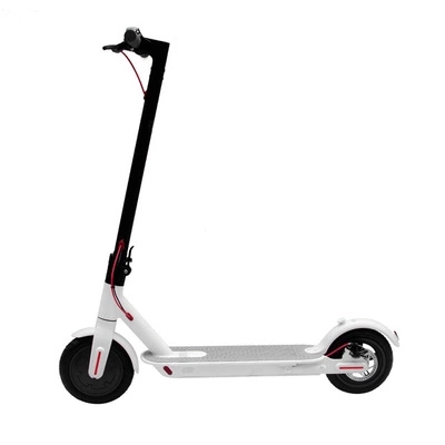 M365 Electric Scooter Urban Commute & Fleet Customization