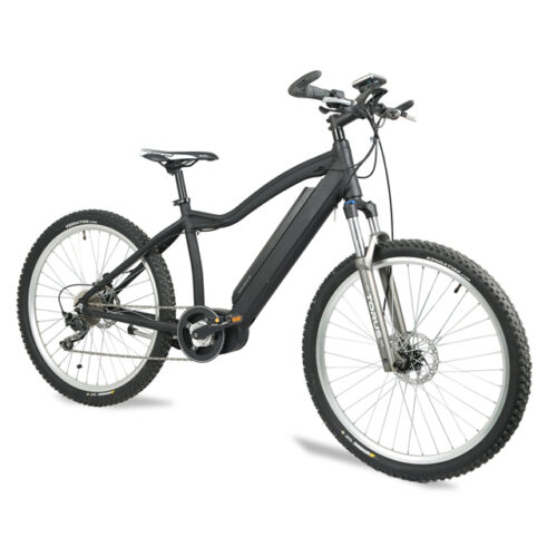 Electric Bike: LN26M01 Urban Commute & Delivery Ready