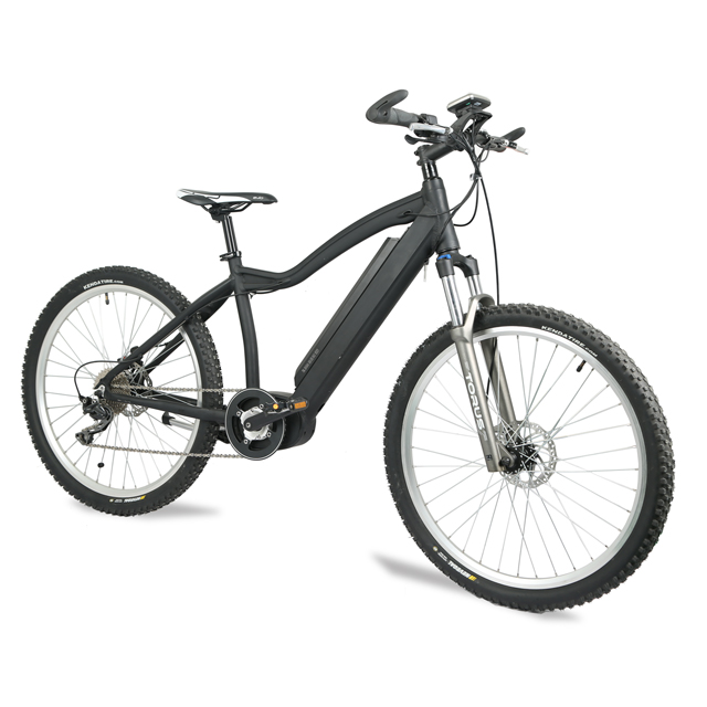 Electric Bike: LN26M01 Urban Commute & Delivery Ready