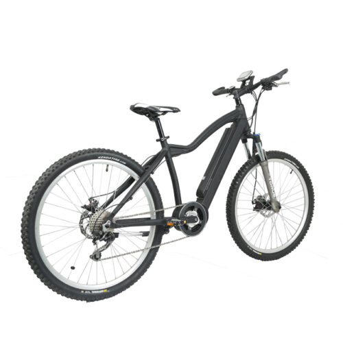 Electric Bike: LN26M01 Urban Commute & Delivery Ready