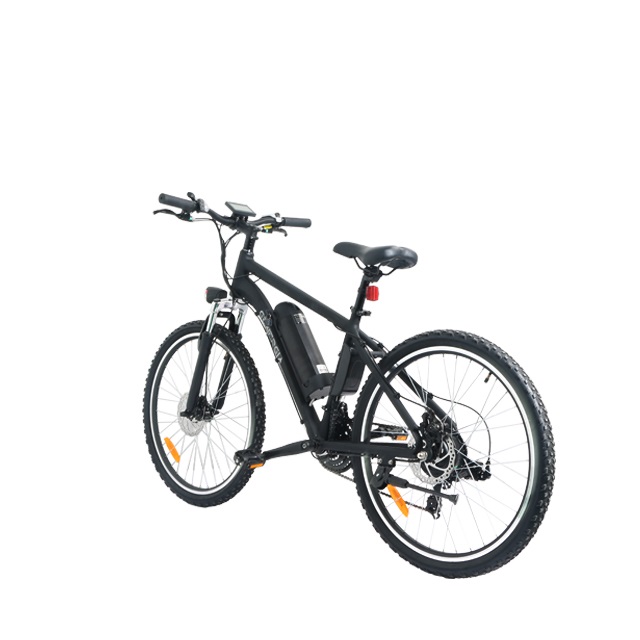 Customizable E-Bike LN26M03 for Wholesale - 70km Range