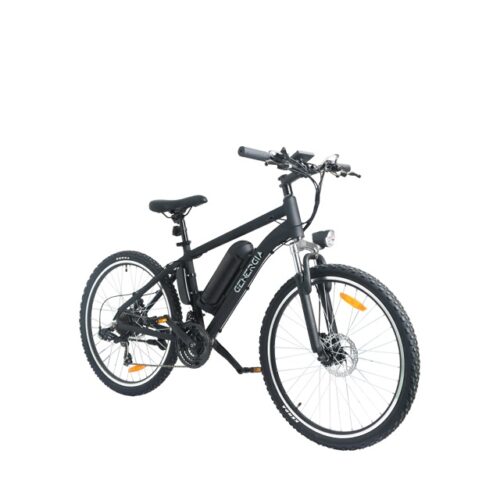 Customizable E-Bike LN26M03 for Wholesale - 70km Range