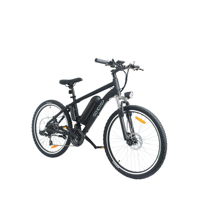Customizable E-Bike LN26M03 for Wholesale - 70km Range