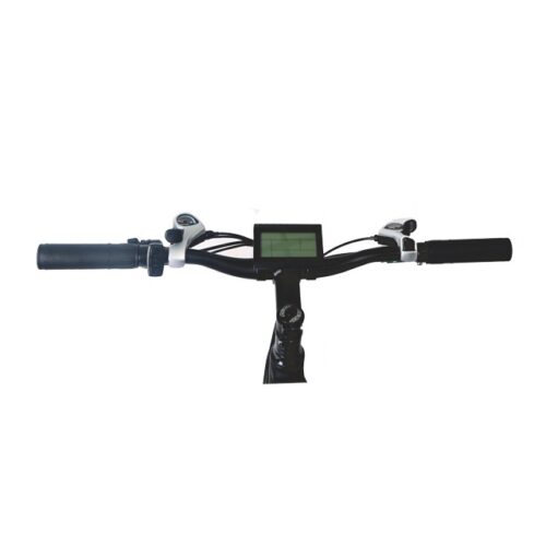 Customizable E-Bike LN26M03 for Wholesale - 70km Range
