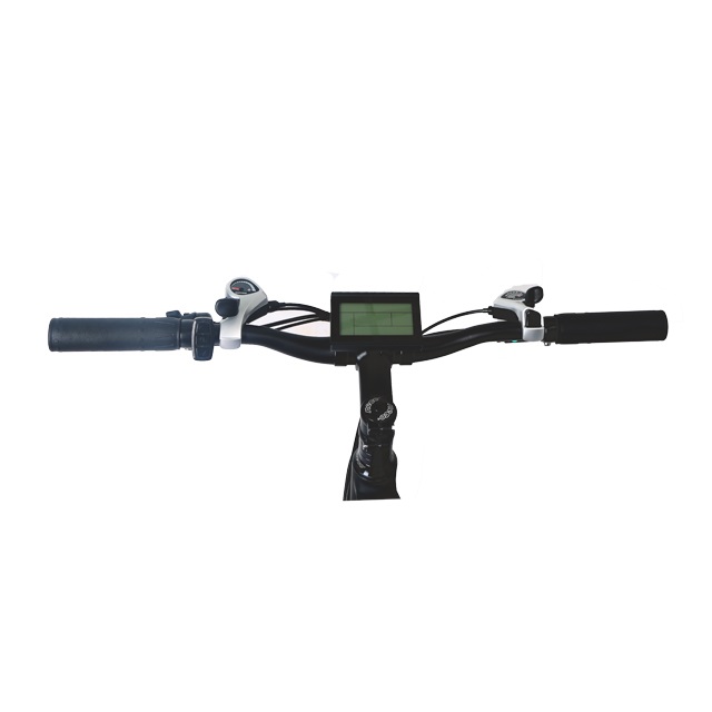 Customizable E-Bike LN26M03 for Wholesale - 70km Range