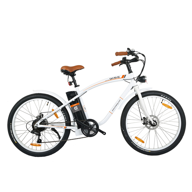 Portable Power Commuter E-Bike – Model B01
