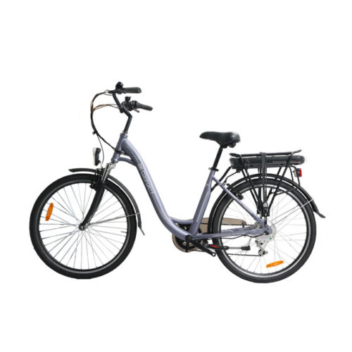 Urban Commuter E-Bike C06: personalizable y lista para la venta al por mayor