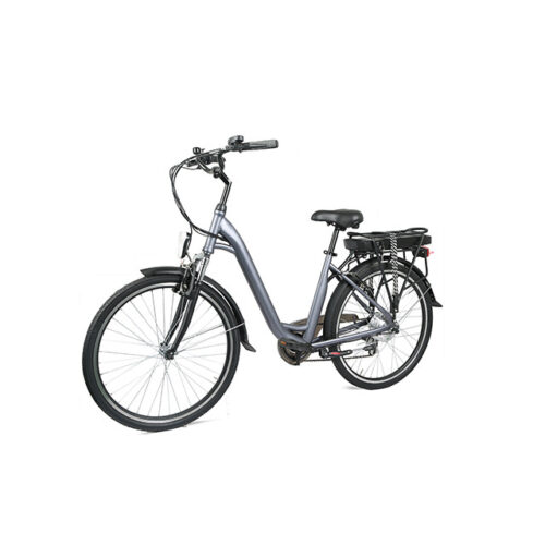 Urban Commuter E-Bike C06: personalizable y lista para la venta al por mayor