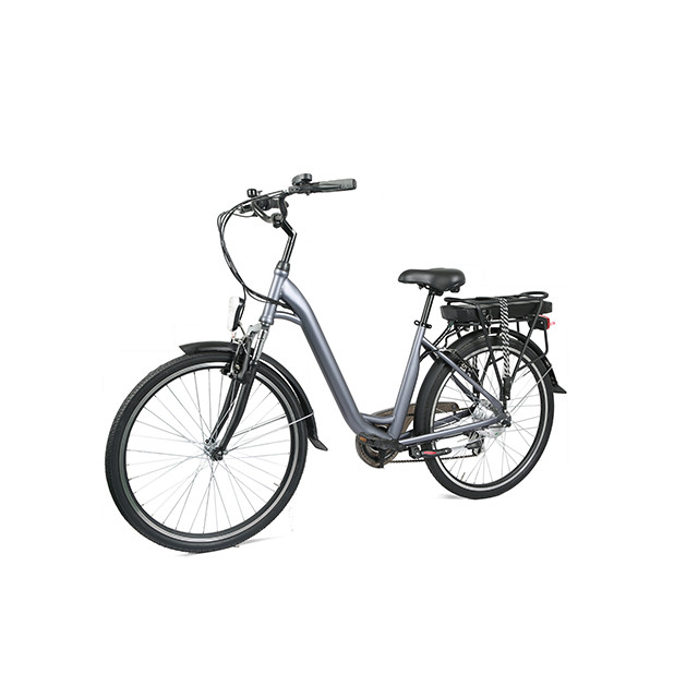 Urban Commuter E-Bike C06: personalizable y lista para la venta al por mayor