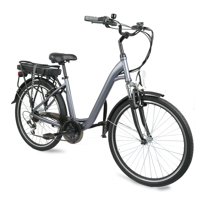 Urban Commuter E-Bike C06: personalizable y lista para la venta al por mayor