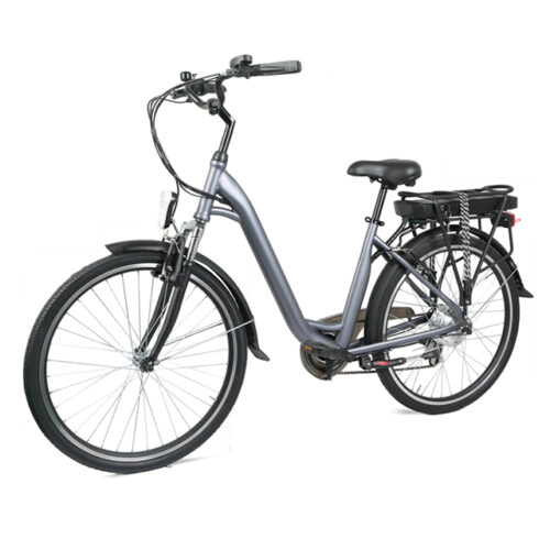 Urban Commuter E-Bike C06: personalizable y lista para la venta al por mayor