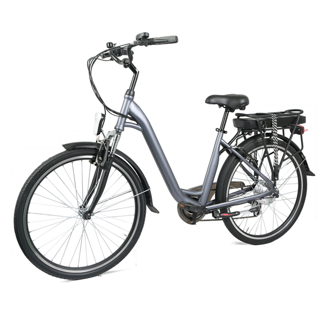 Urban Commuter E-Bike C06: personalizable y lista para la venta al por mayor