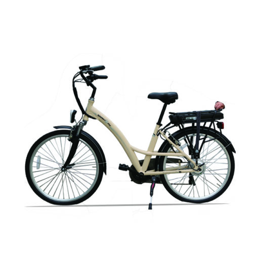 C02 Urban Commuter E-Bike | Pedidos a granel/personalizados