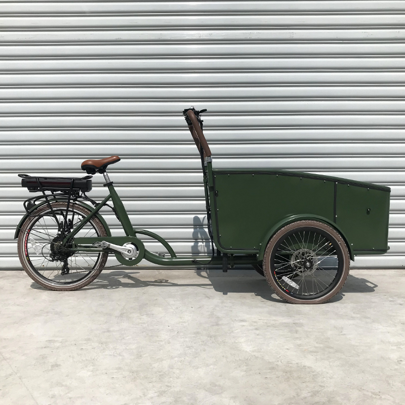 Electric Bike