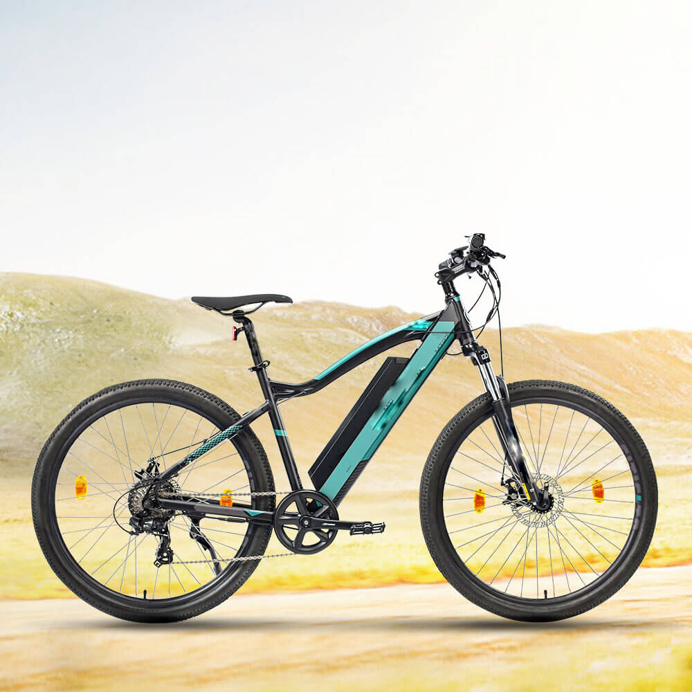 Electric Bike