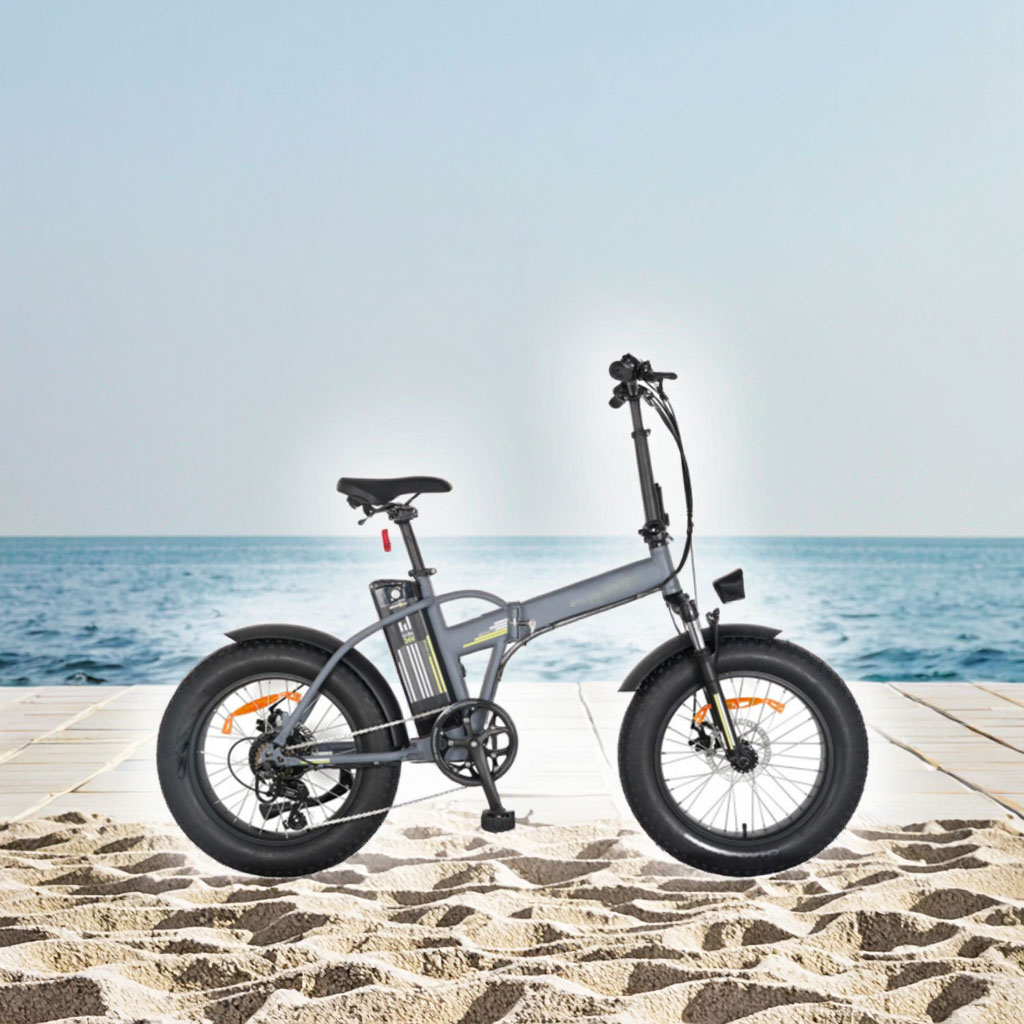 Electric Bike