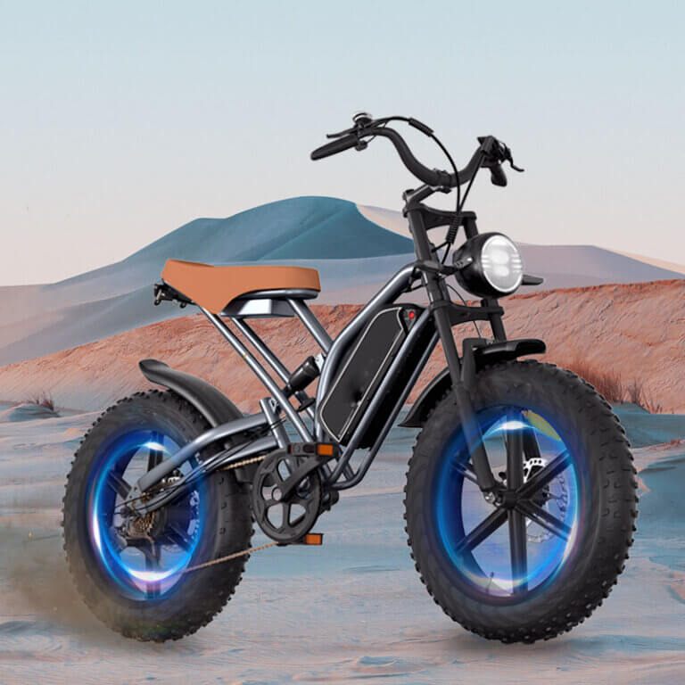 Electric Bike
