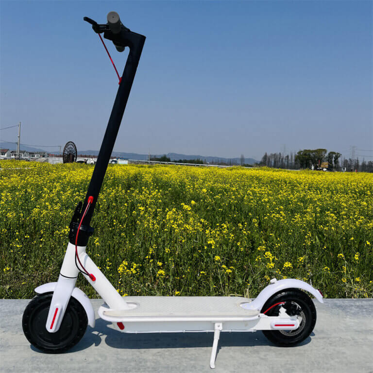 Electric Kick Scooter