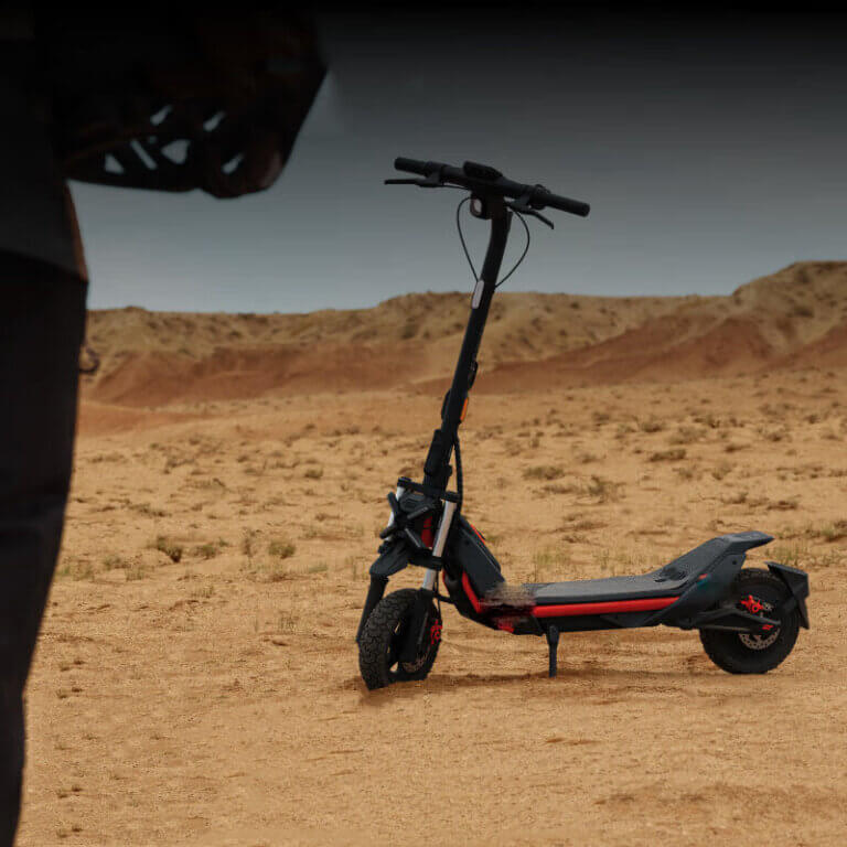 Electric Kick Scooter