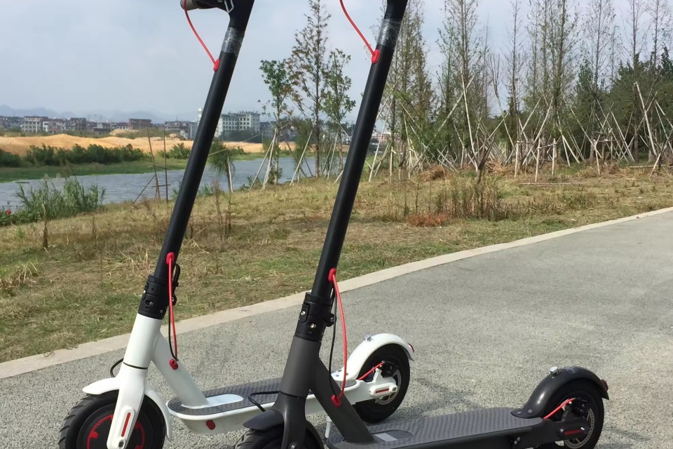 Electric Kick Scooter