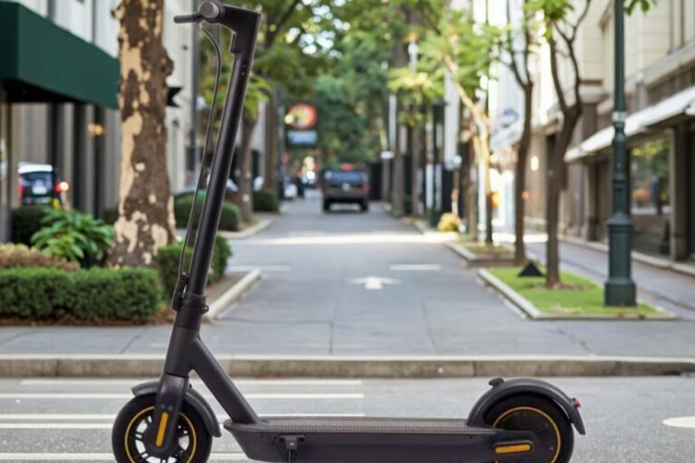 Electric Kick Scooter