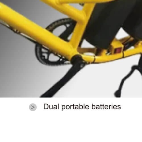 350W Electric Cargo Bike