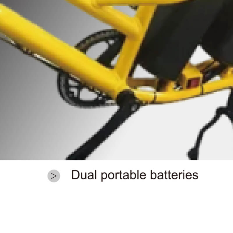 350W Electric Cargo Bike