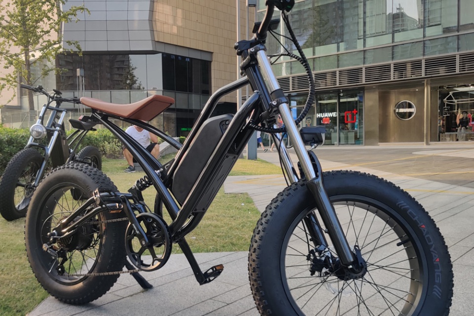 Electric Bike