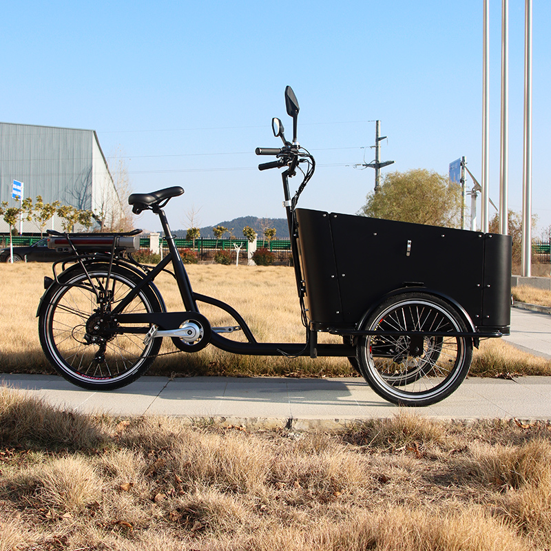 Electric Bike
