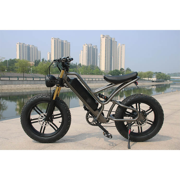 Electric Bike