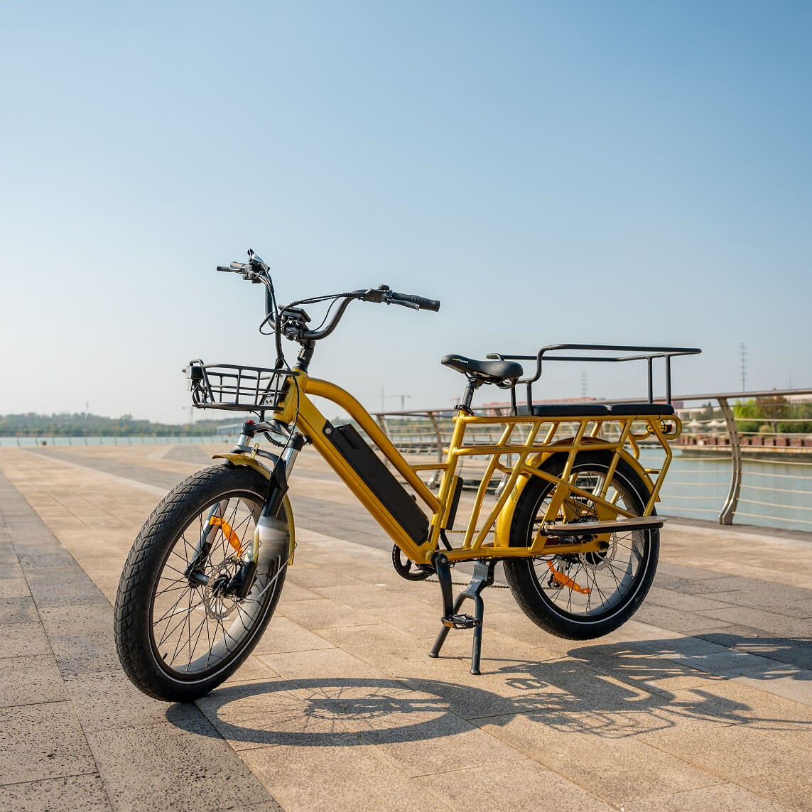 Electric Bike