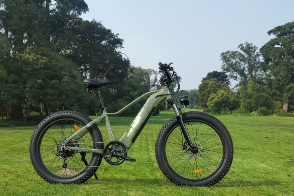 Electric Bike
