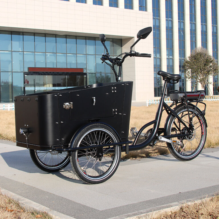 Electric Bike