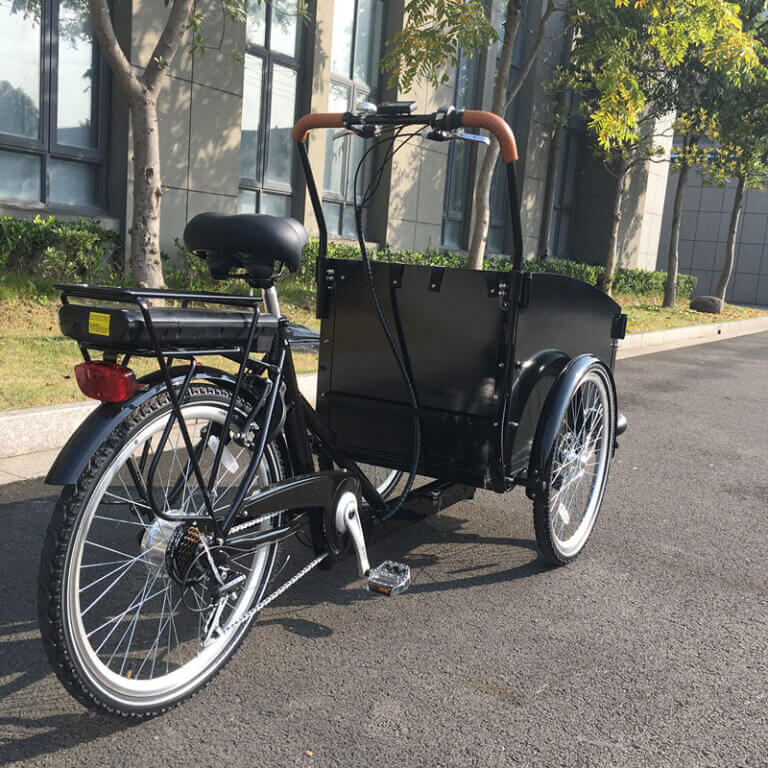 Electric Bike