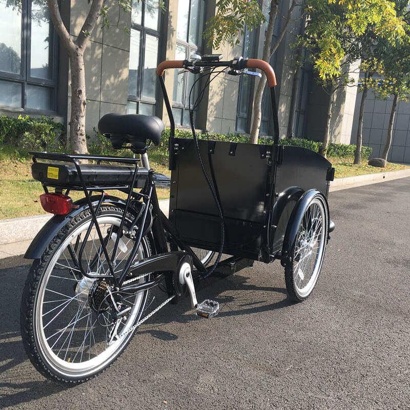 Electric Bike