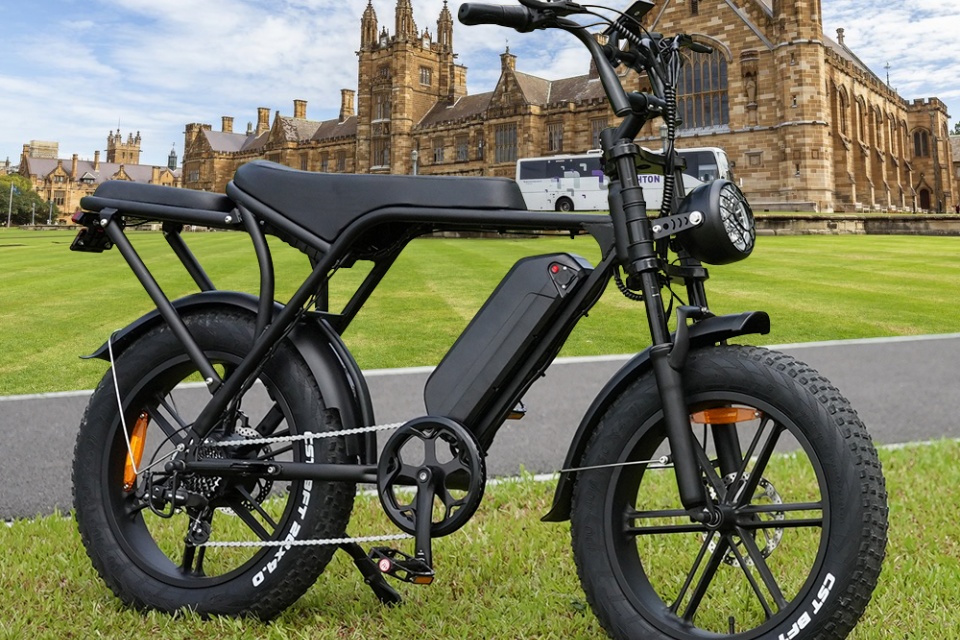 Electric Bike