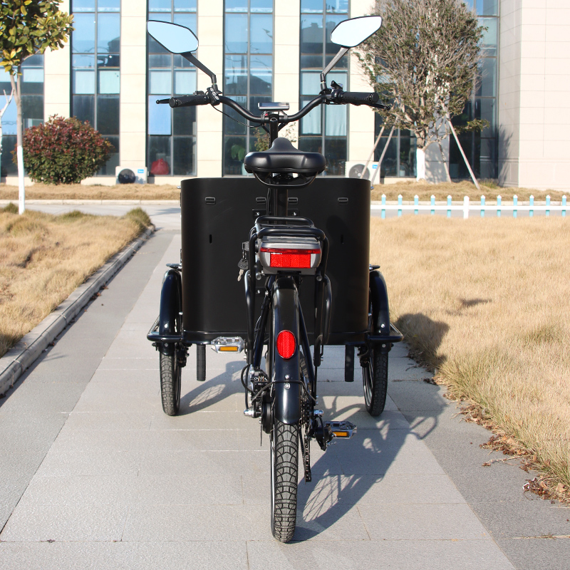 Electric Bike
