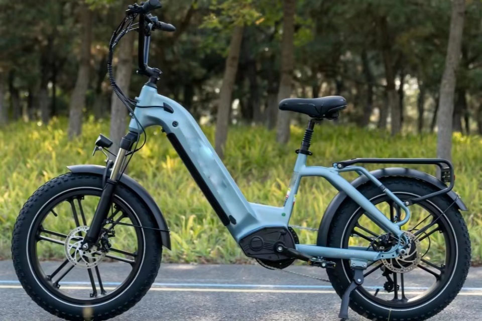 Electric Bike 