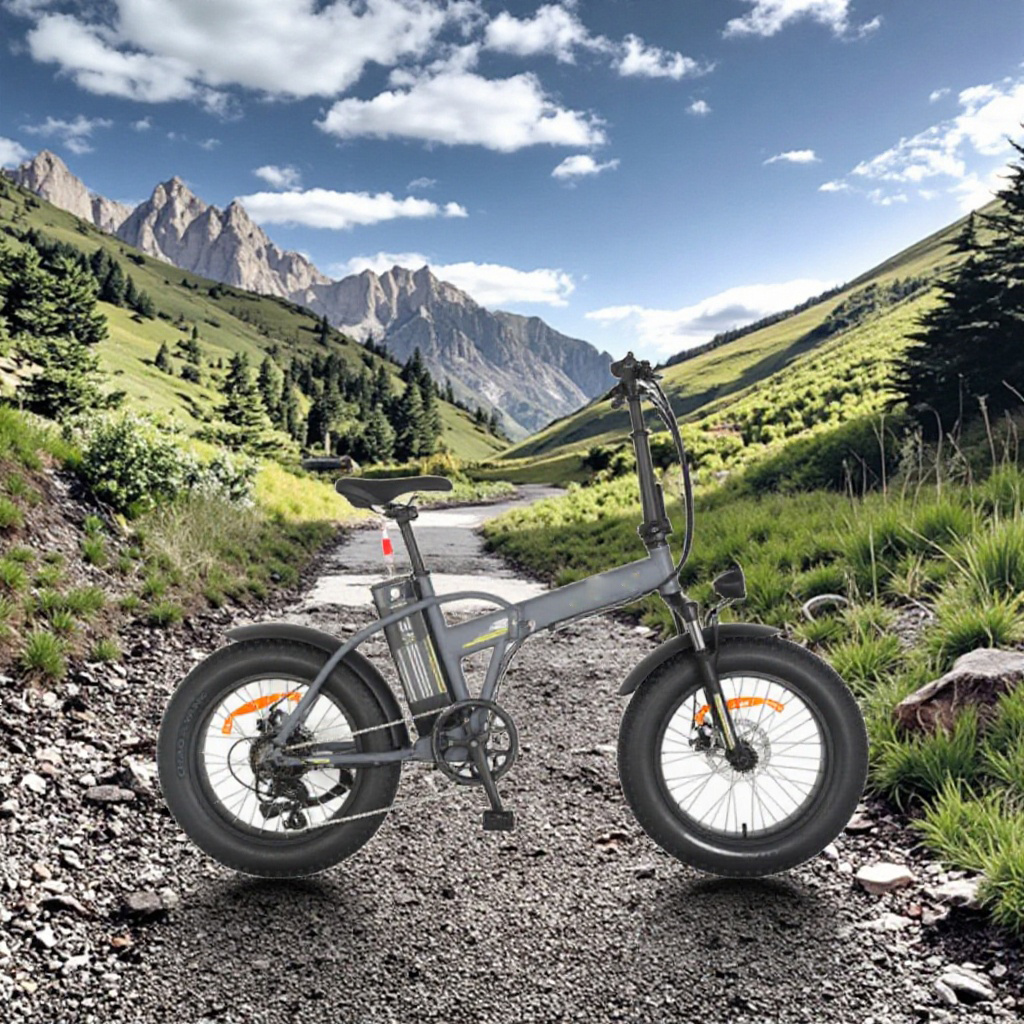 Electric Bike