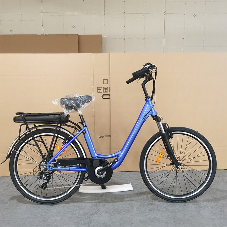 Electric Bike