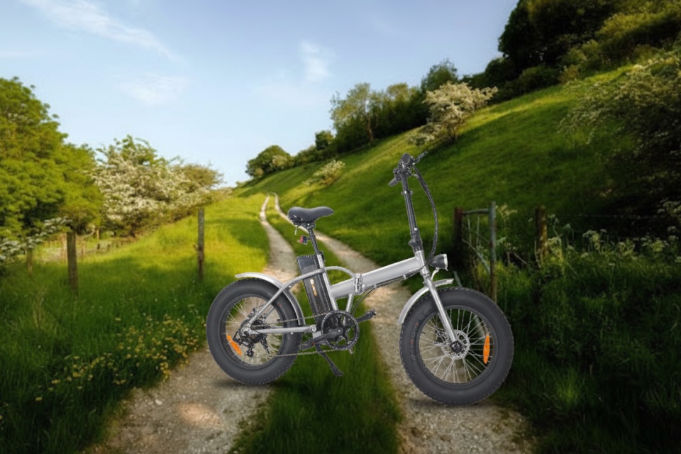 Elektrofahrrad