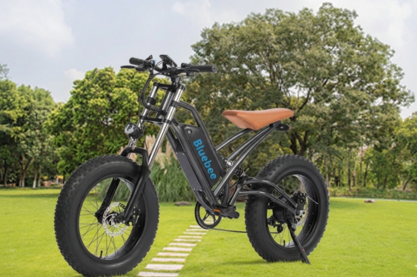 Elektrofahrrad