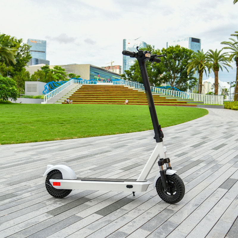 Electric Kick Scooter