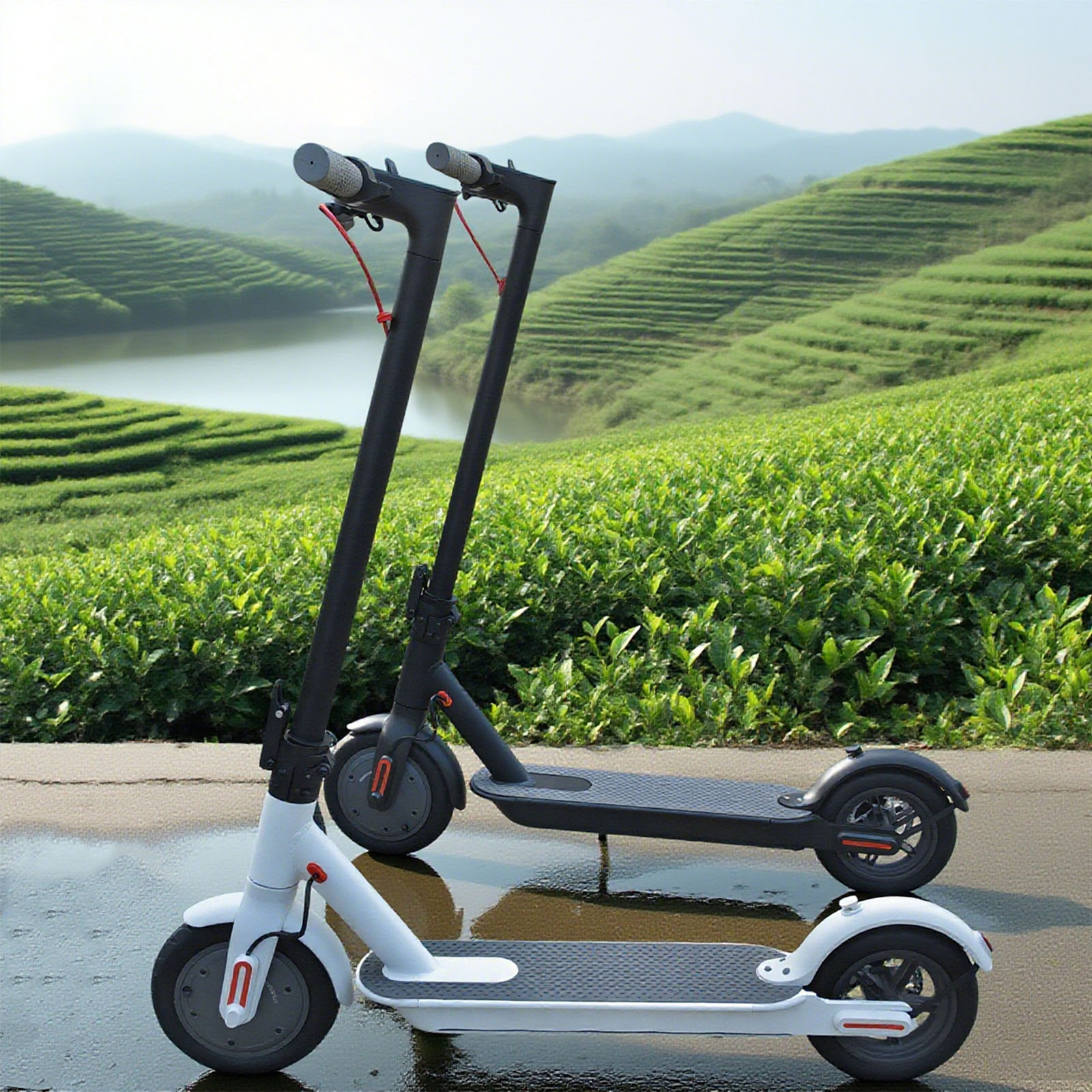 Electric Kick Scooter