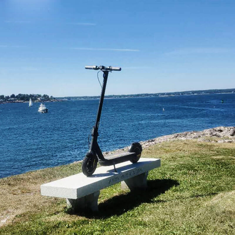 Electric Kick Scooter