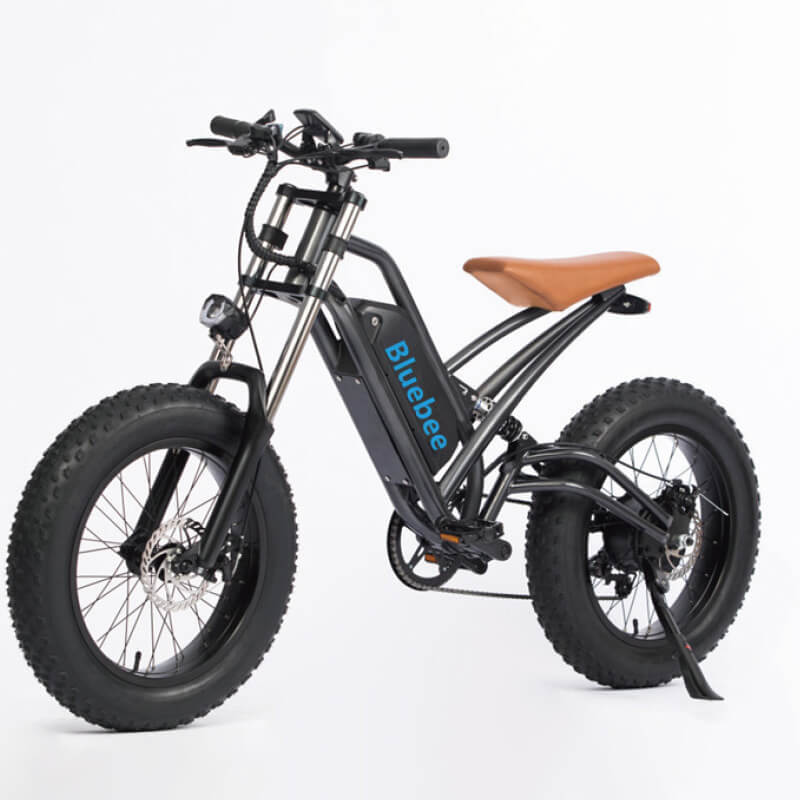 Putere de vârf 450W biciclete electrice