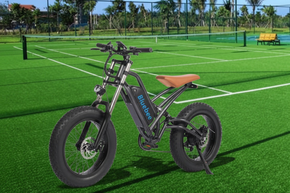 Electric Bike