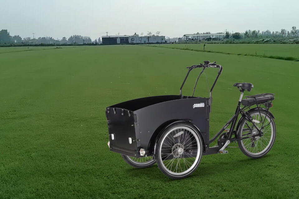 Electric Bike