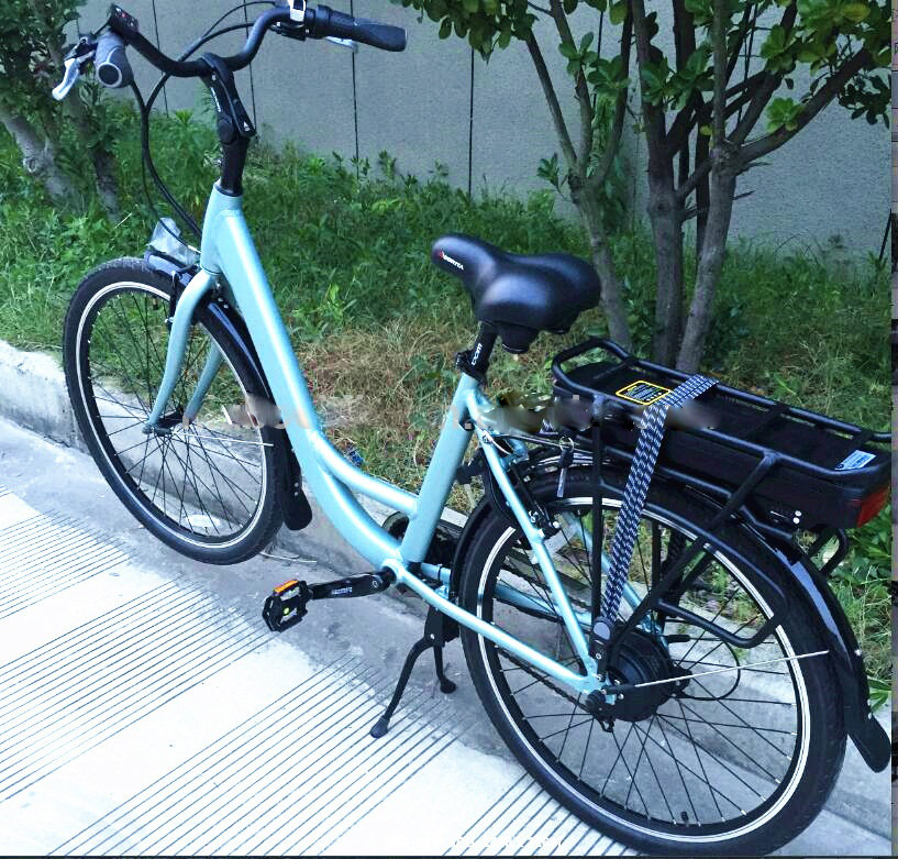 Electric Bike