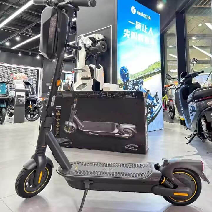 Electric Kick Scooter